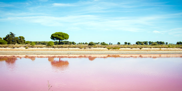 Salin Aigues-Mortes